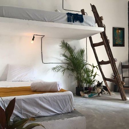 Black Jaguar Hostel Bacalar Exterior photo