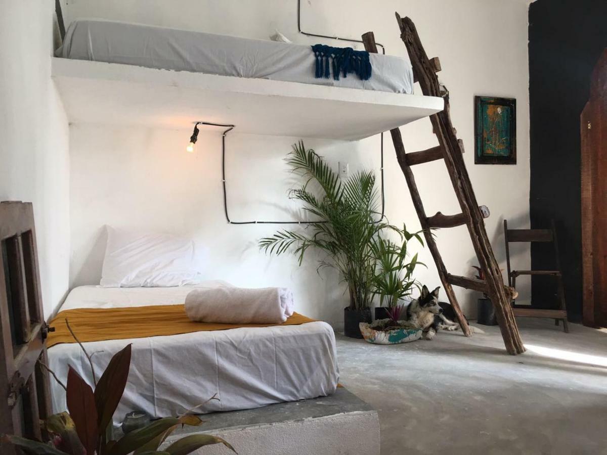 Black Jaguar Hostel Bacalar Exterior photo