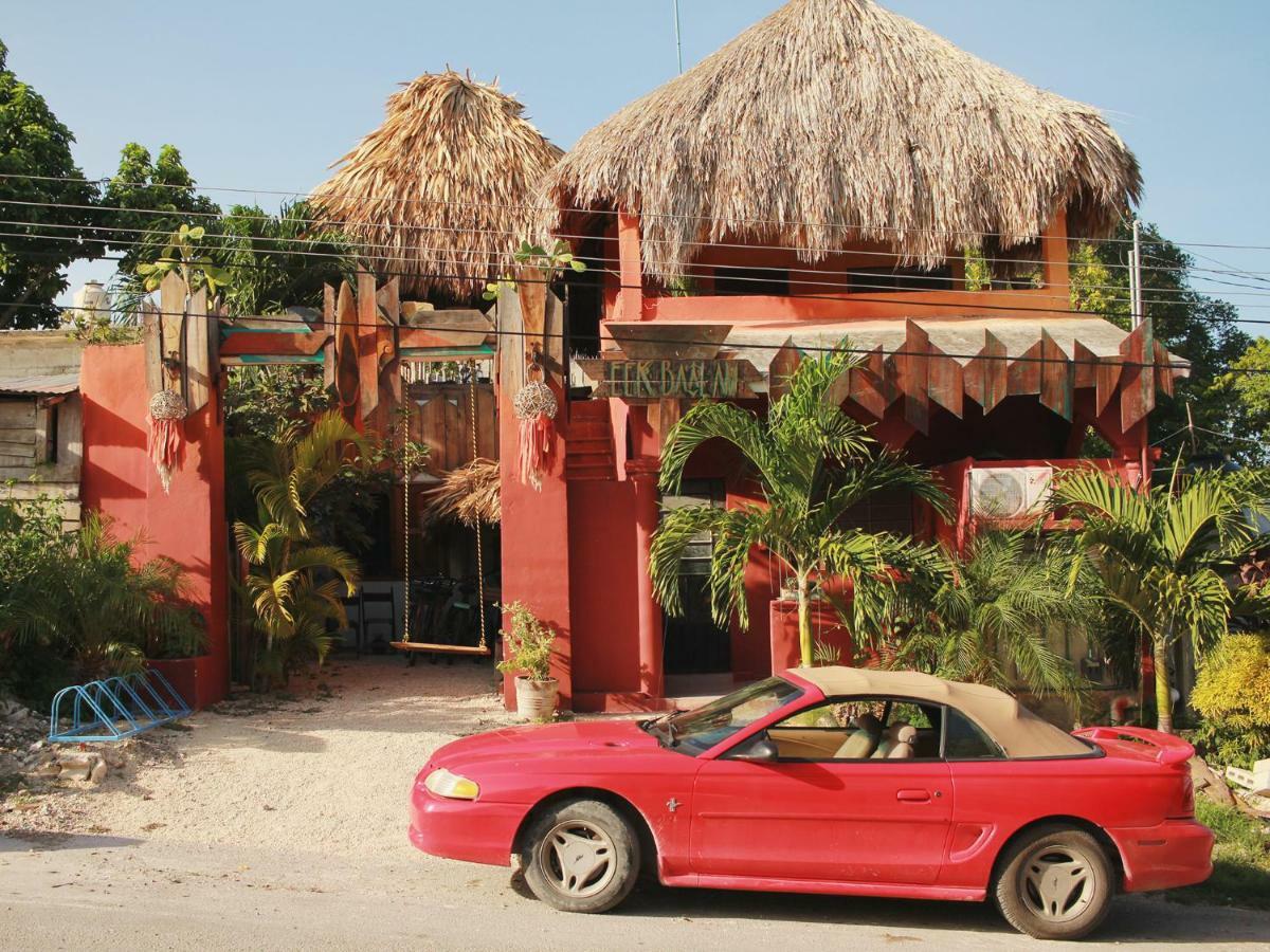 Black Jaguar Hostel Bacalar Exterior photo